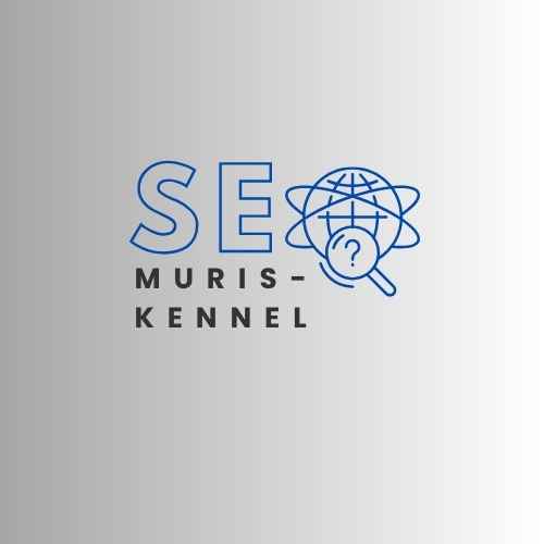 מגזין קידום אתרים SEO
